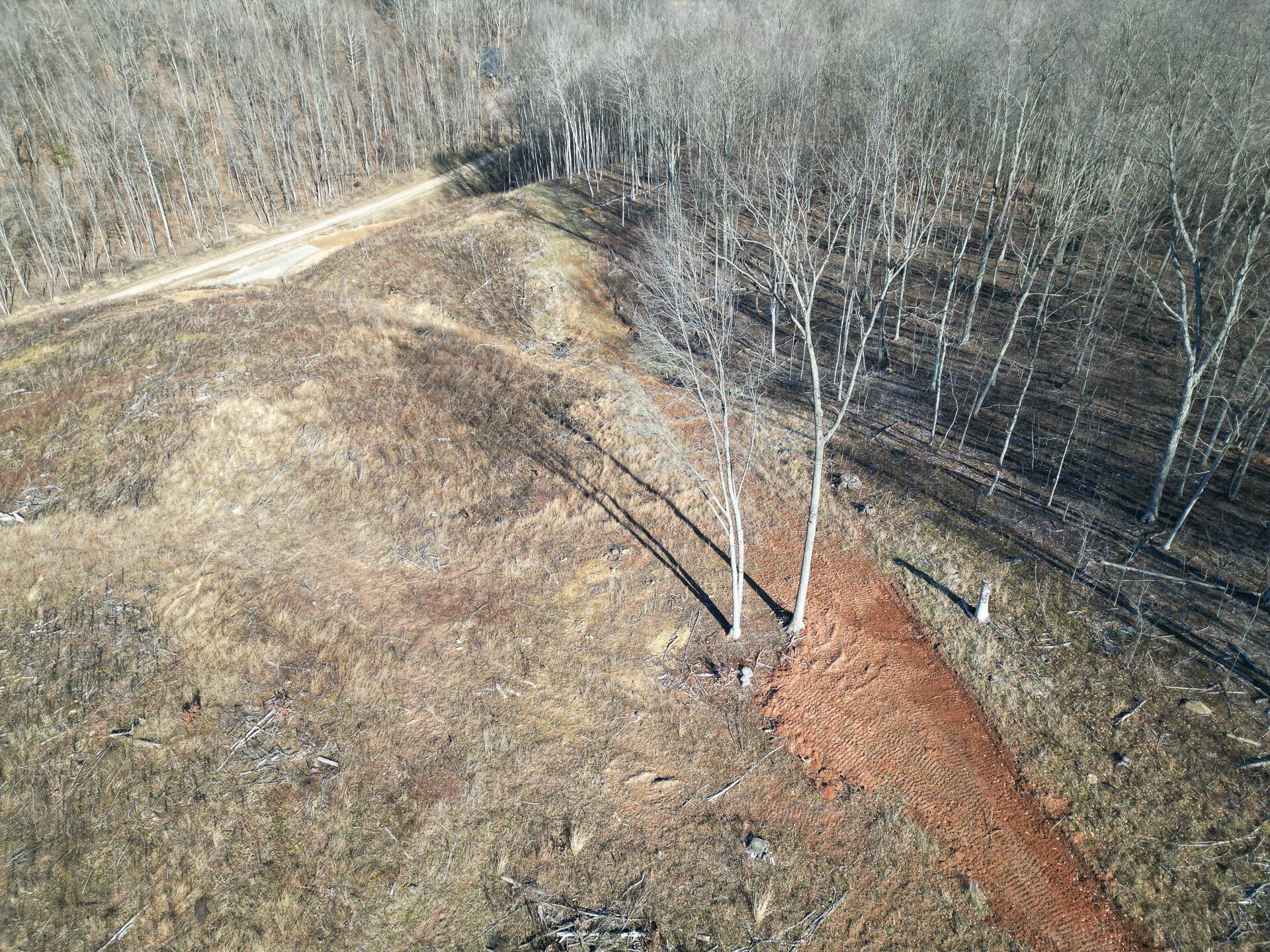 0 Hampton Hollow Road, Unit 7 ACRE TRACT) Langsville, OH 45741 - Photo 12 of 55