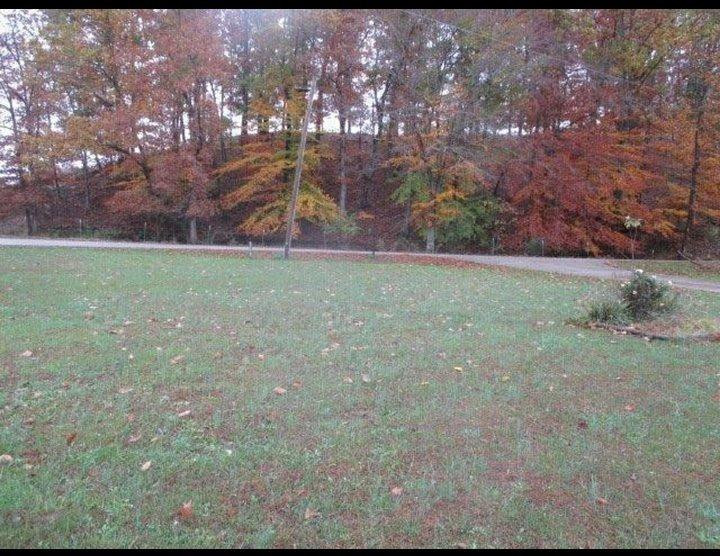 905 Long Branch Road Jeffersonville, KY 40337 - Photo 26 of 27 Photo 26