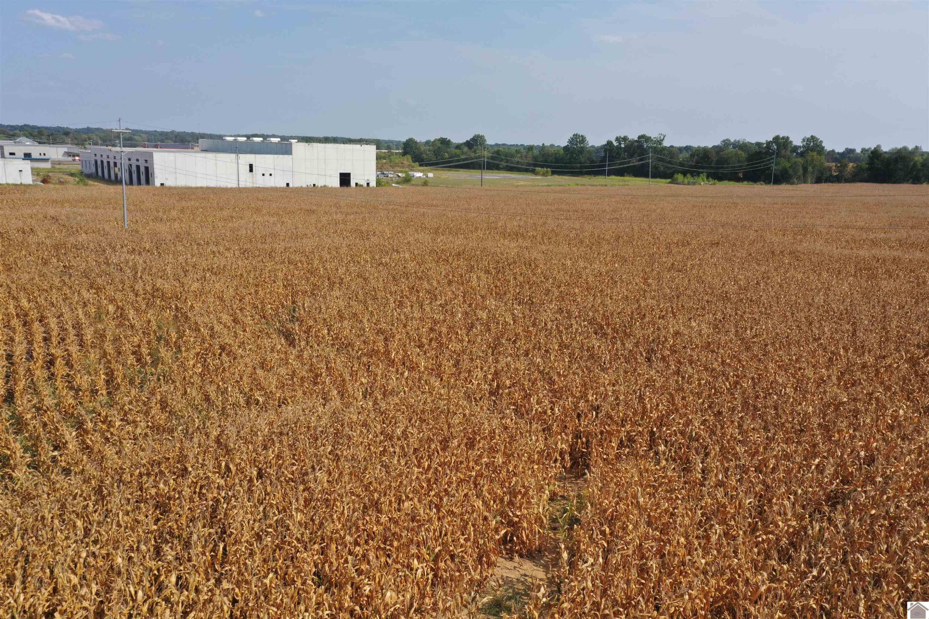 1276 State Route Mayfield, KY 42066 - Photo 4 of 11 Photo 4