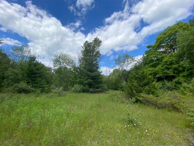 Lot 2 West Meadow Road Fish Creek, WI 54212 - Photo 9 of 40