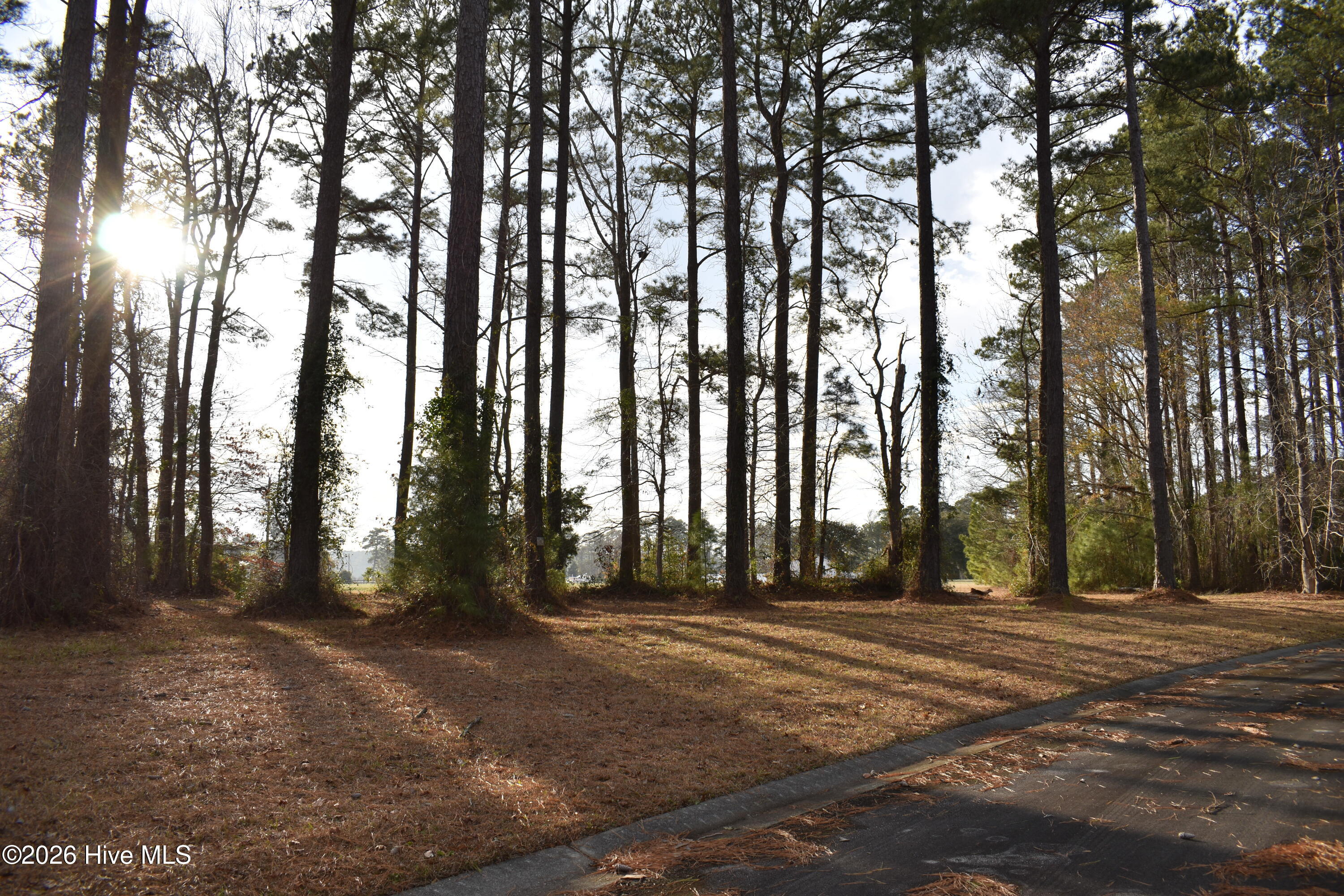 179 Corolla Loop Road Arapahoe, NC 28510 - Photo 2 of 10 DSC_0285