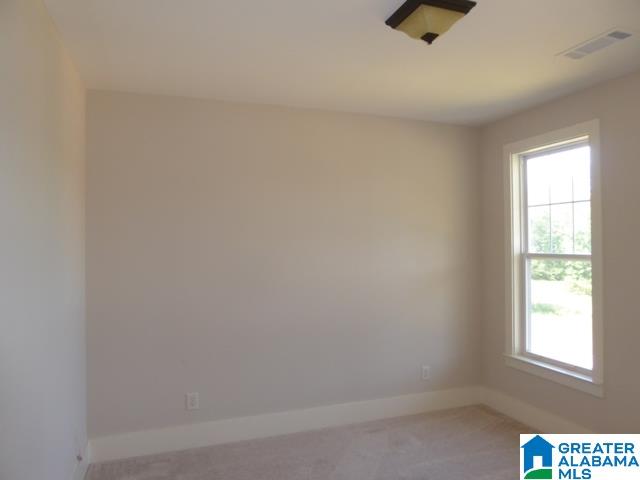 7301 Old Tannery Trail McCalla, AL 35111 - Photo 12 of 15