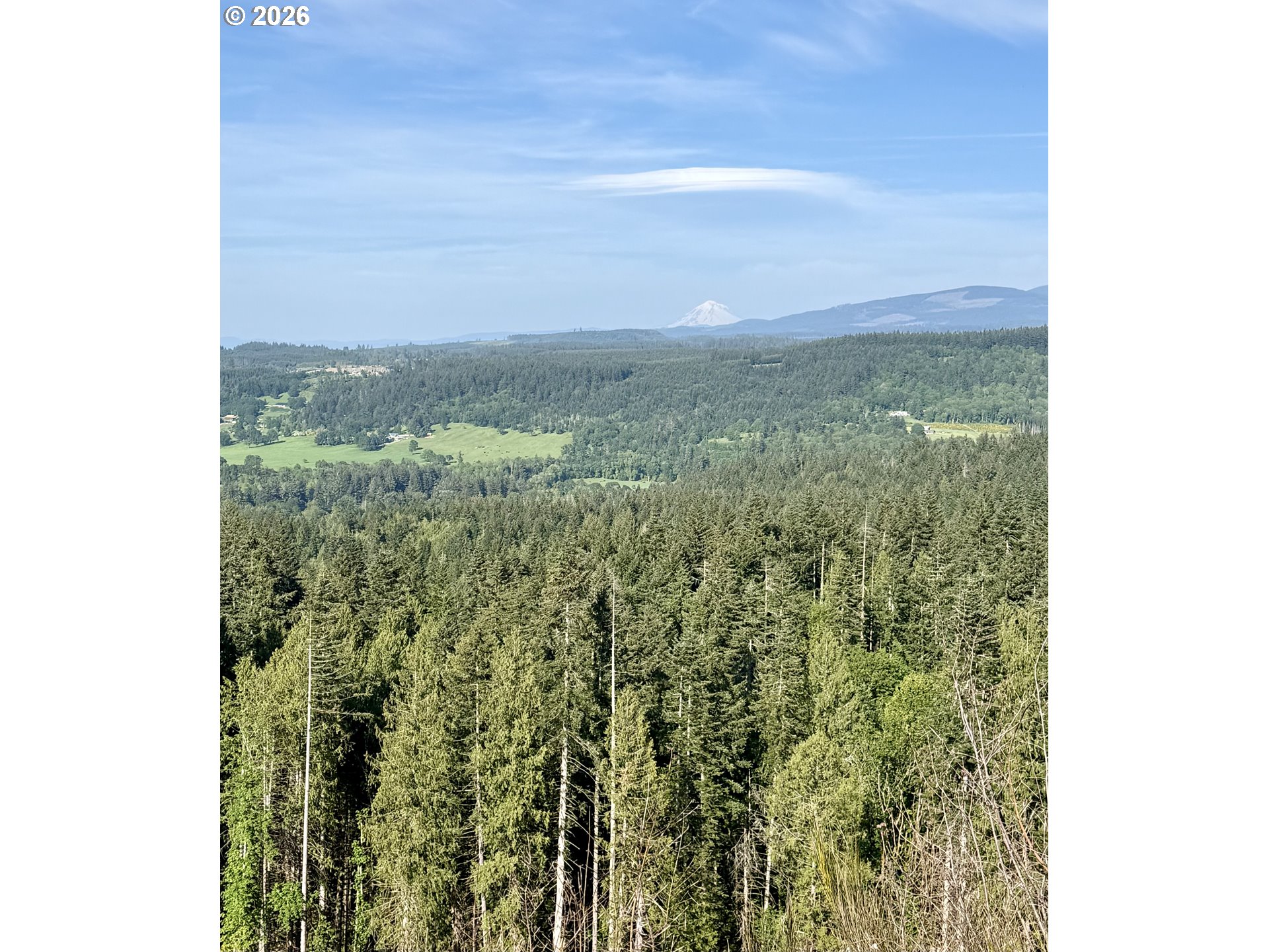 South Ellis Road Molalla, OR 97038 - Photo 4 of 19