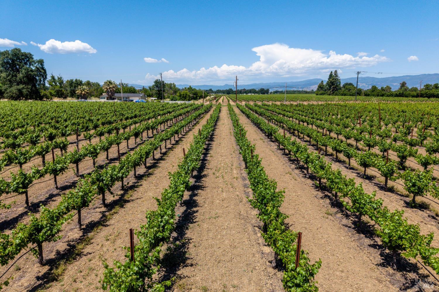 1435 Big Valley Road Lakeport, CA 95453 - Photo 3 of 21 a view of a city with flower plants