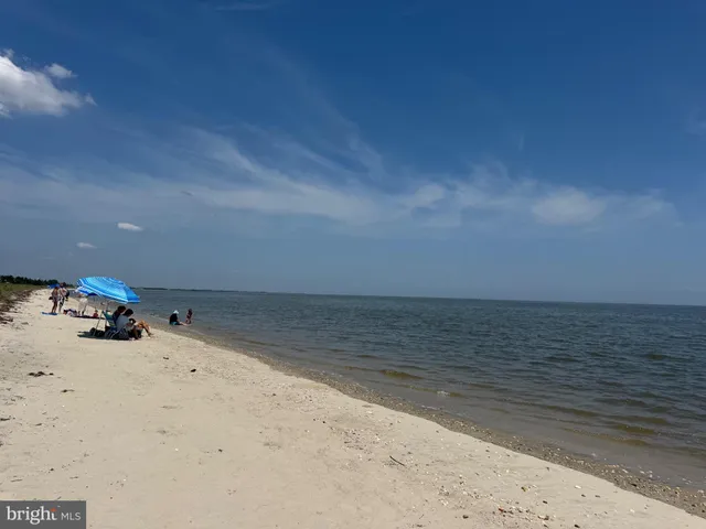 a street view with a lake