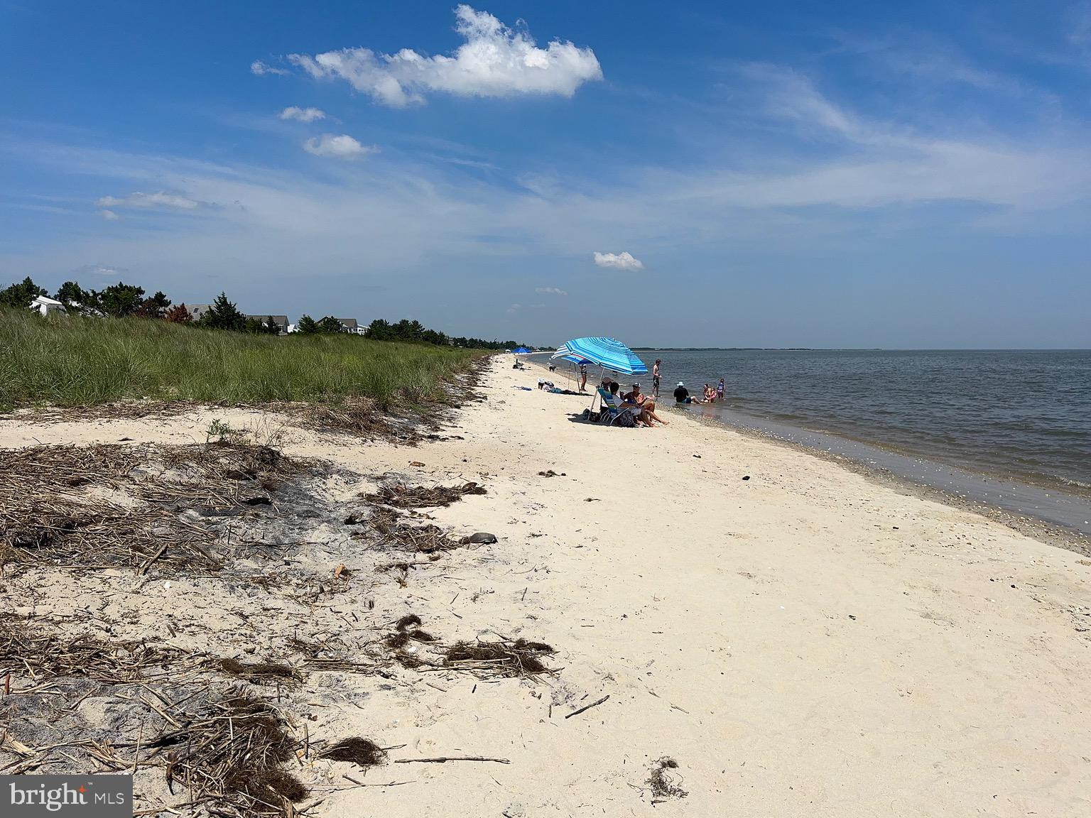 128 Sawyer Road Milford, DE 19963 - Photo 28 of 47 a view of beach and lake