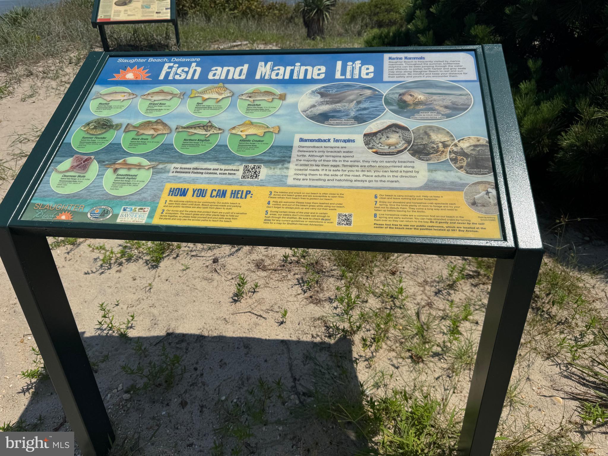 128 Sawyer Road Milford, DE 19963 - Photo 32 of 47 a view of a door of a building
