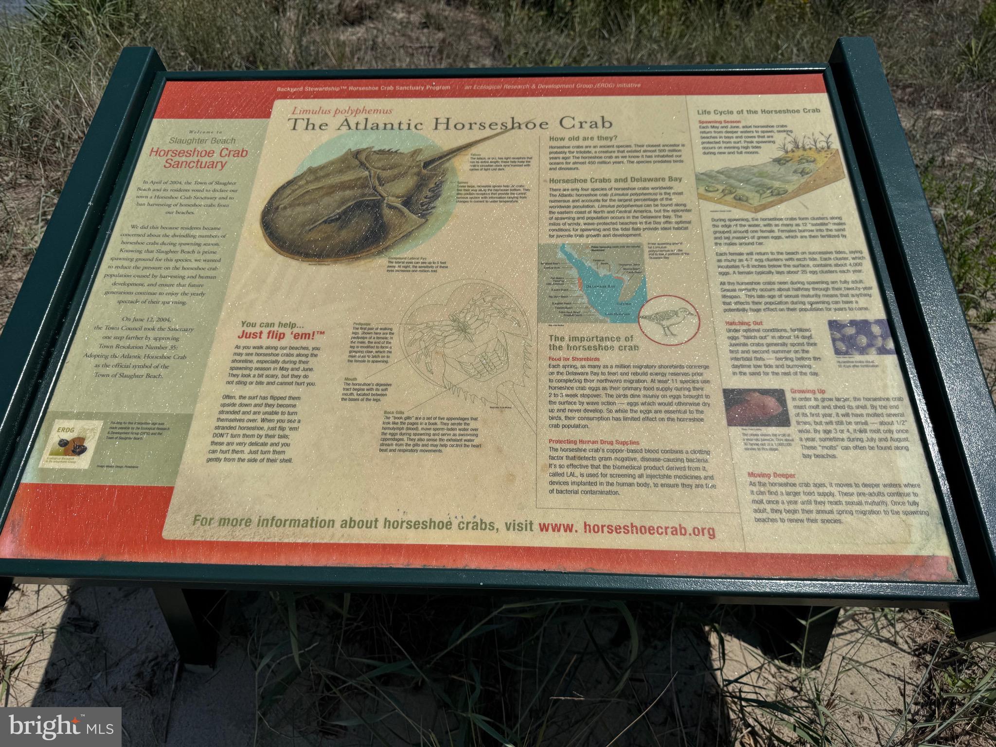 128 Sawyer Road Milford, DE 19963 - Photo 33 of 47 a close up of a sink