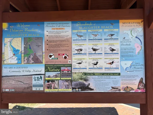a view of a terrace with chairs