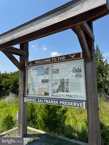 a view of a big yard with potted plants
