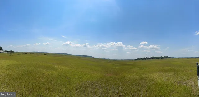a view of a street sign
