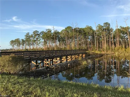 a view of a water pond with green space