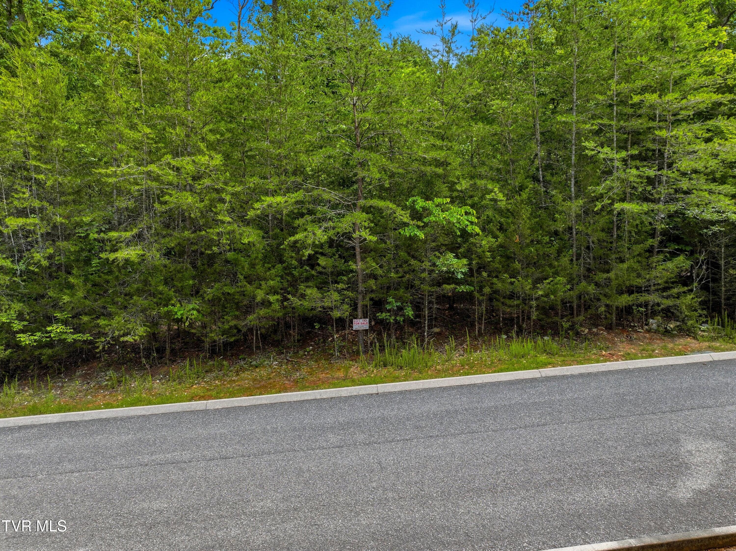 Lot 110 Eagles Ridge, Unit 110 Tazewell, TN 37879 - Photo 8 of 17 003-EaglesRidge-Tazewell-TN-37879-SMALL