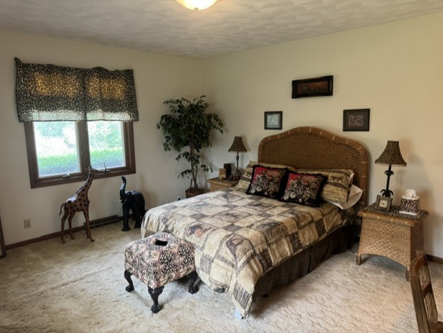 428 Overlook Court Geneseo, IL 61254 - Photo 35 of 55