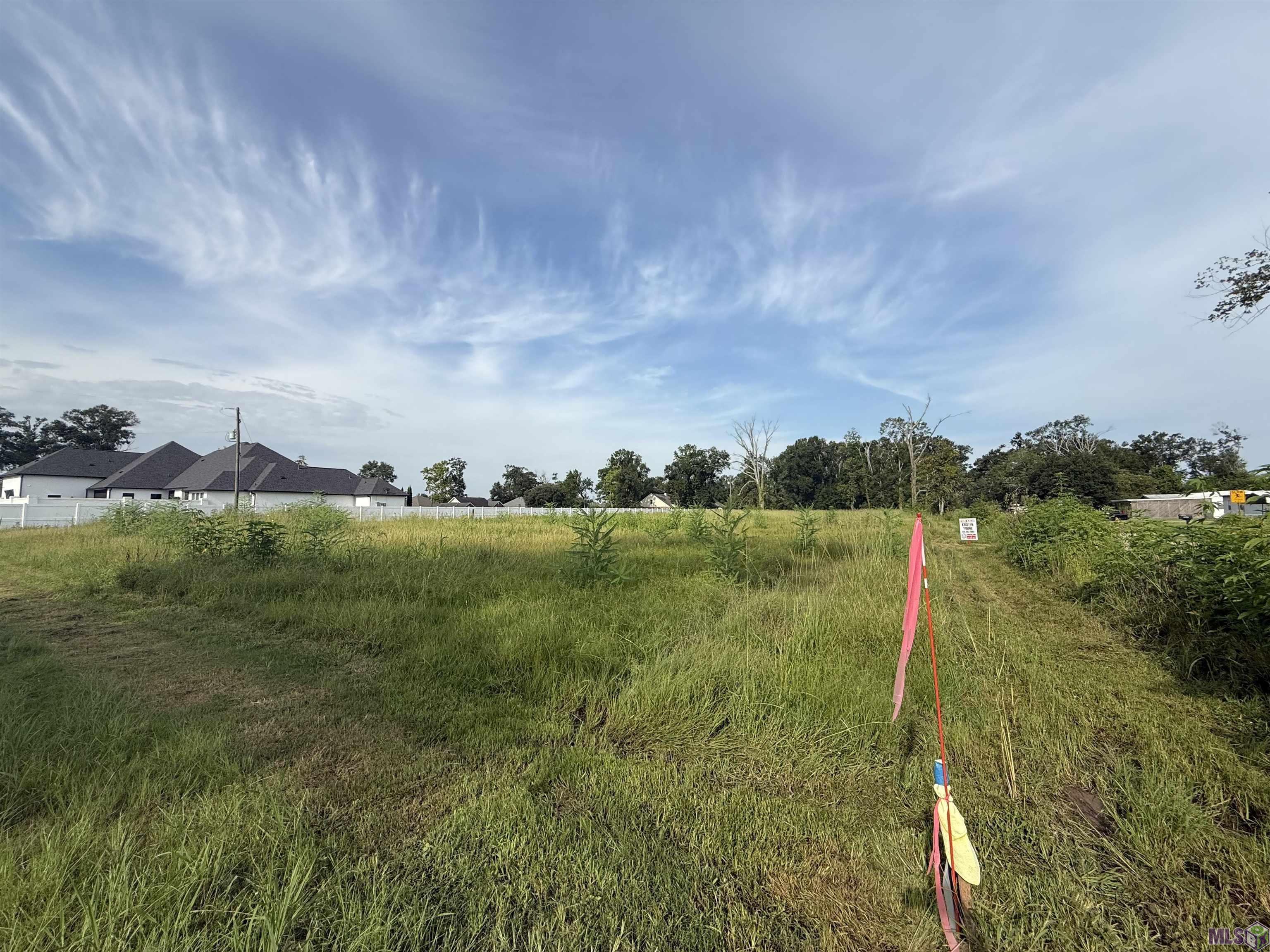 4-d-4 Courtney Road Gonzales, LA 70737 - Photo 4 of 4 Gallery Image 4