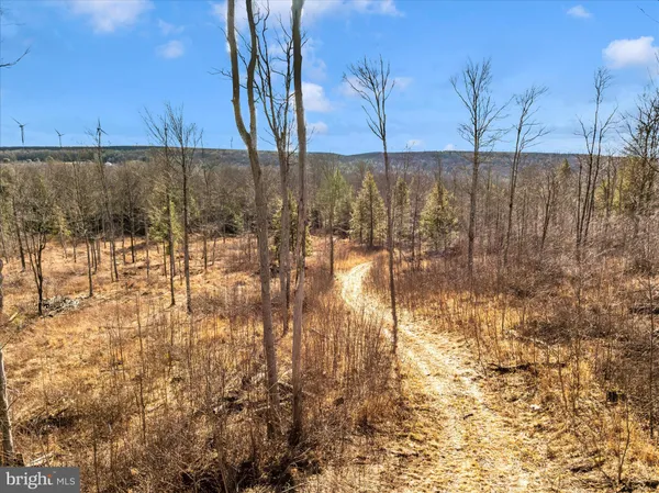 a view of a yard with wooden fence