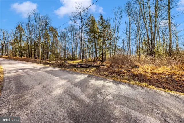 a view of outdoor space with trees