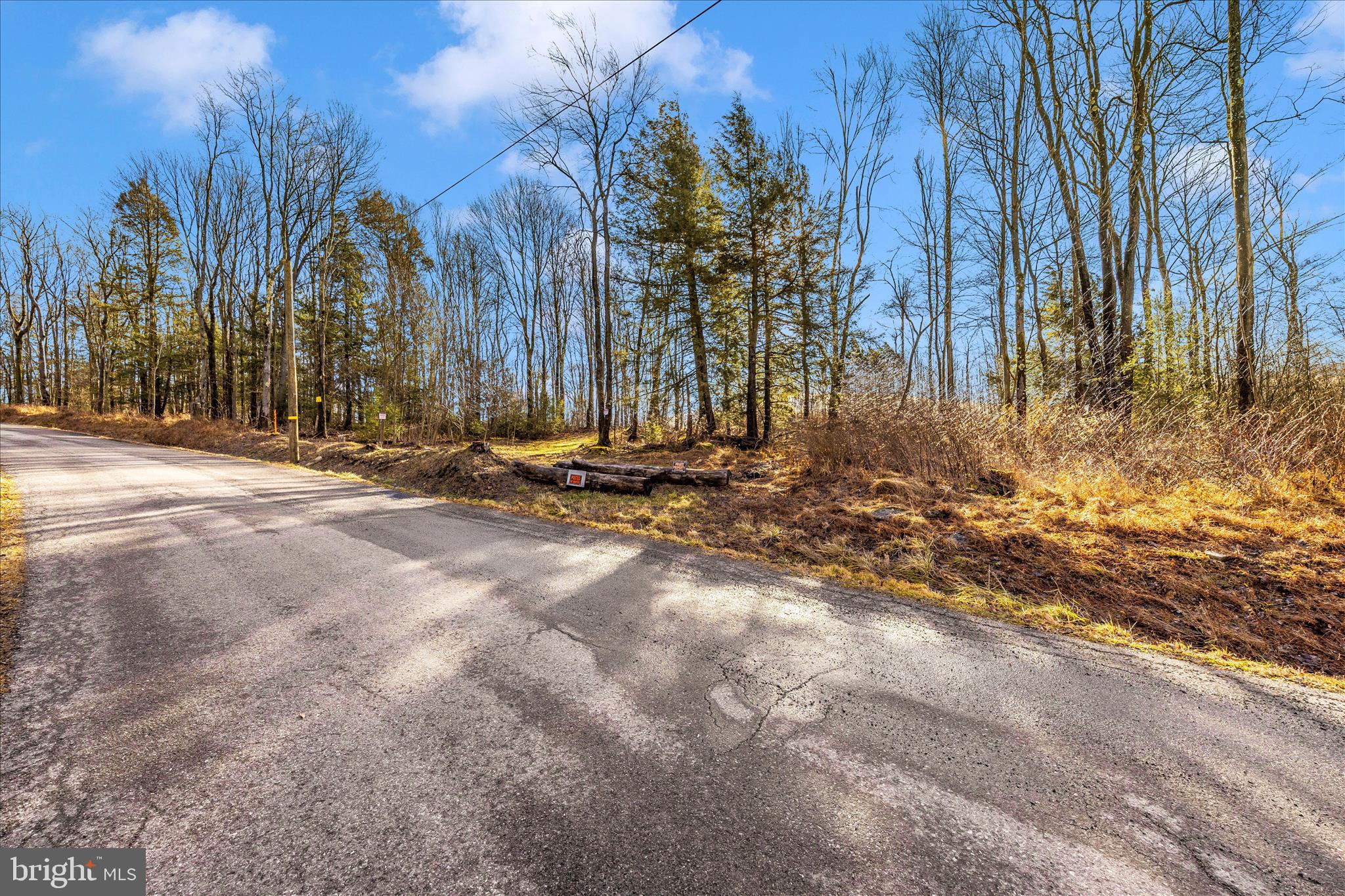 0 Mountain Road Lilly, PA 15938 - Photo 12 of 34 a view of outdoor space with trees