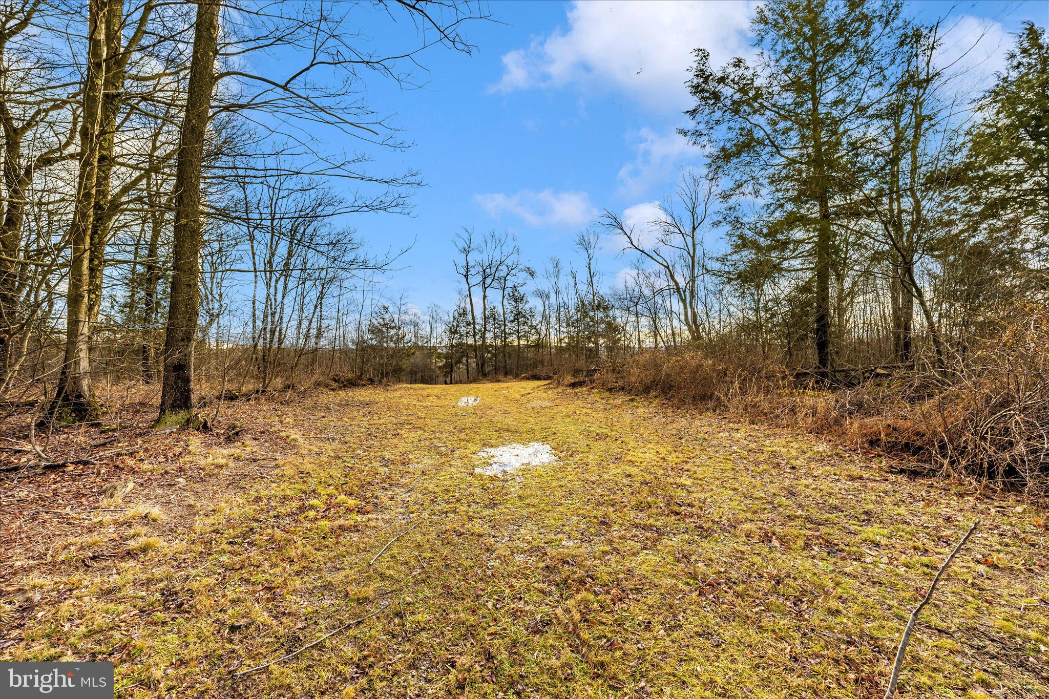0 Mountain Road Lilly, PA 15938 - Photo 16 of 34 a view of yard covered with snow in front of house