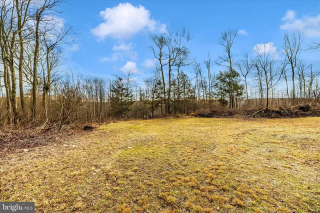 a view of large yard