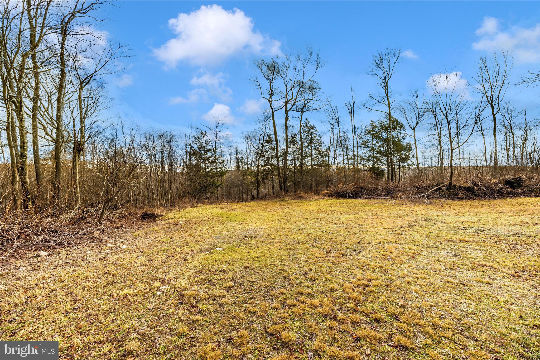 0 Mountain Road Lilly, PA 15938 - Photo 17 of 34 a view of large yard