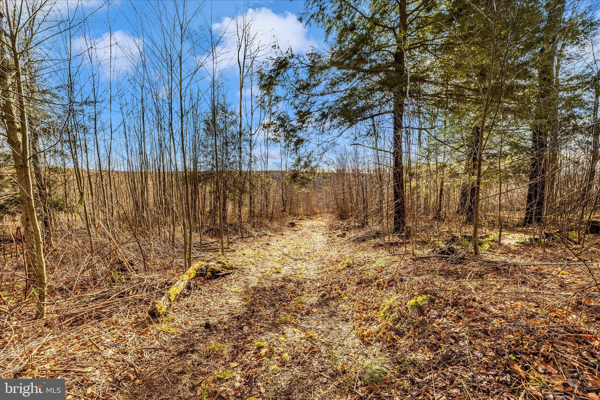 0 Mountain Road Lilly, PA 15938 - Photo 18 of 34