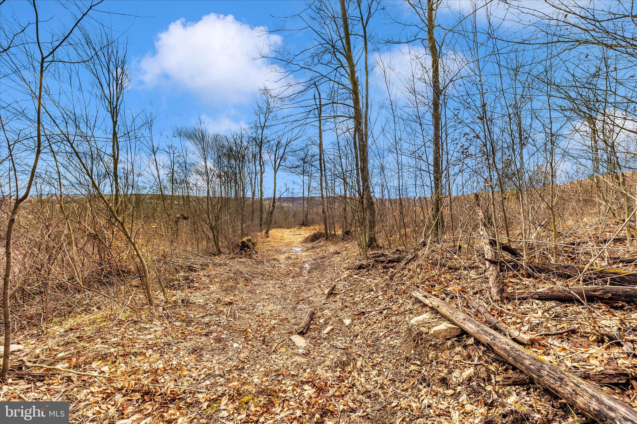 0 Mountain Road Lilly, PA 15938 - Photo 19 of 34 a view of a yard covered with snow