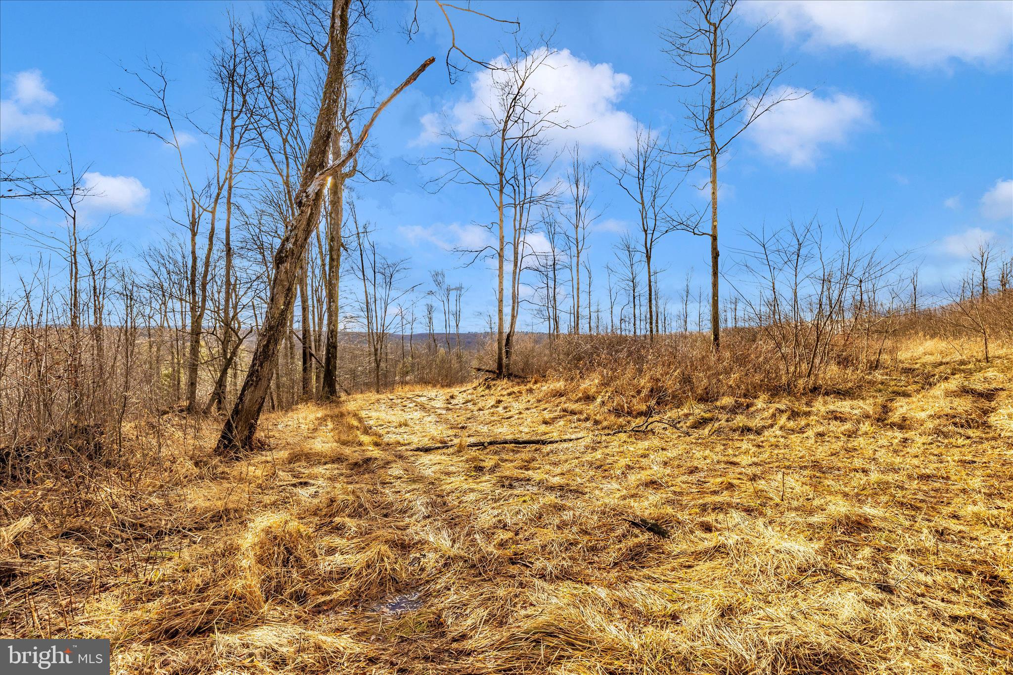 0 Mountain Road Lilly, PA 15938 - Photo 20 of 34 a view of a backyard of the house