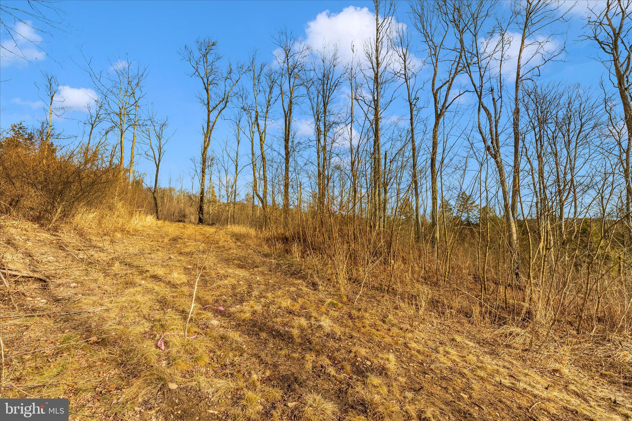 0 Mountain Road Lilly, PA 15938 - Photo 22 of 34 a view of yard with trees