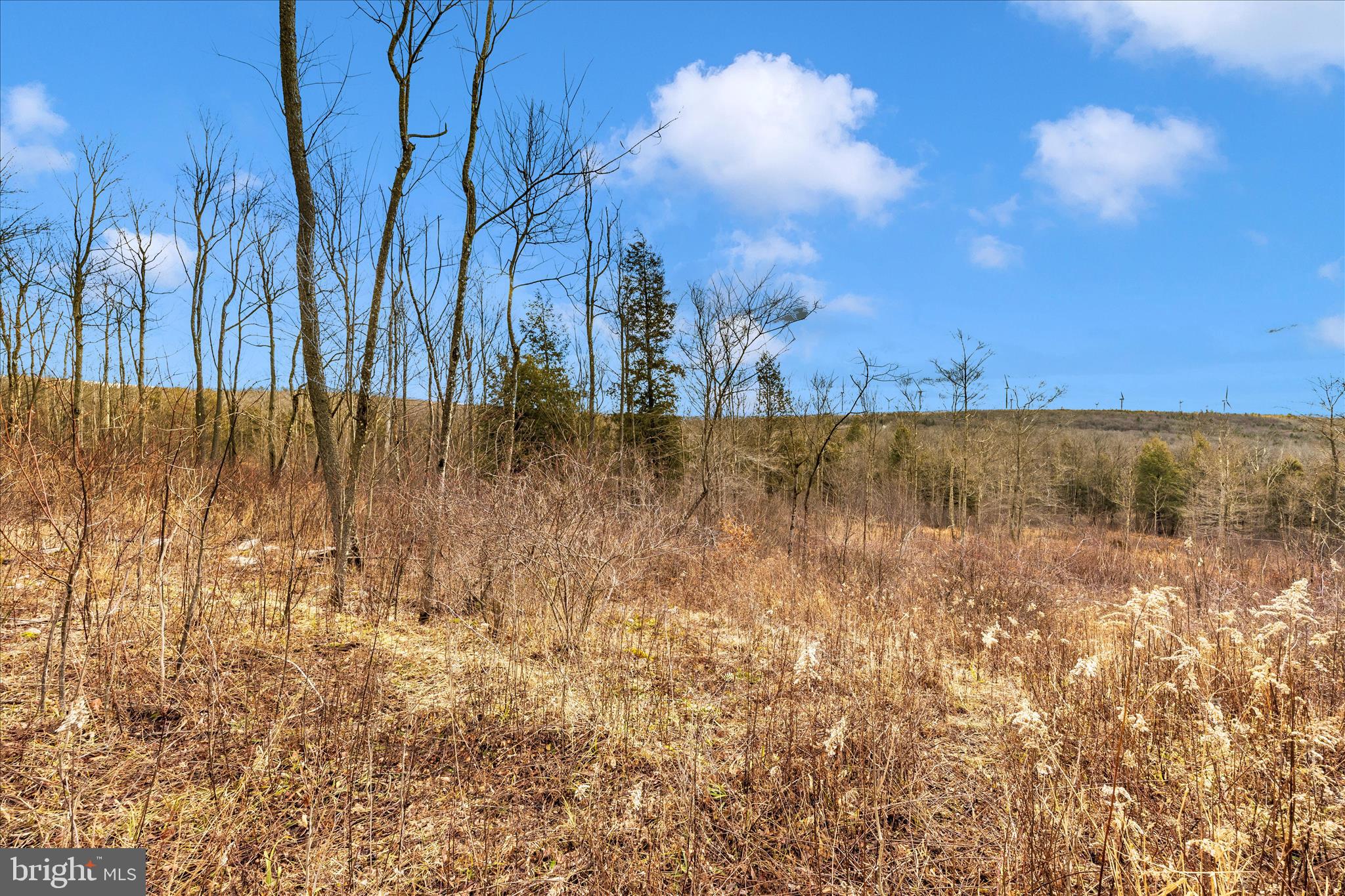 0 Mountain Road Lilly, PA 15938 - Photo 23 of 34 a view of a yard with trees