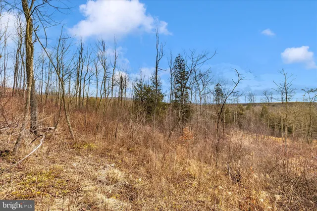 $170,000 | 0 Mountain Road, Lilly, PA 15938