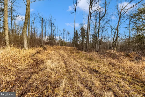 a view of back yard of the house
