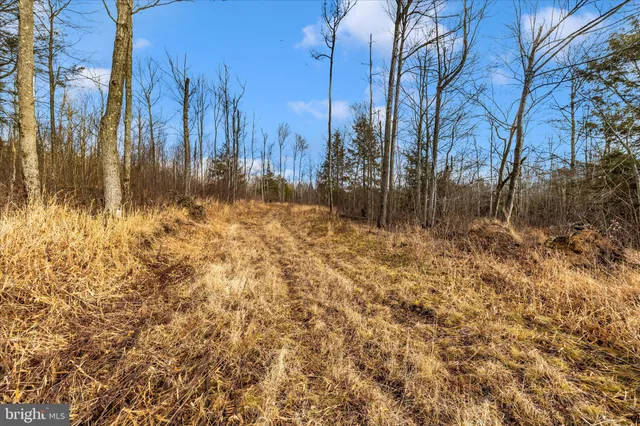 a view of back yard of the house