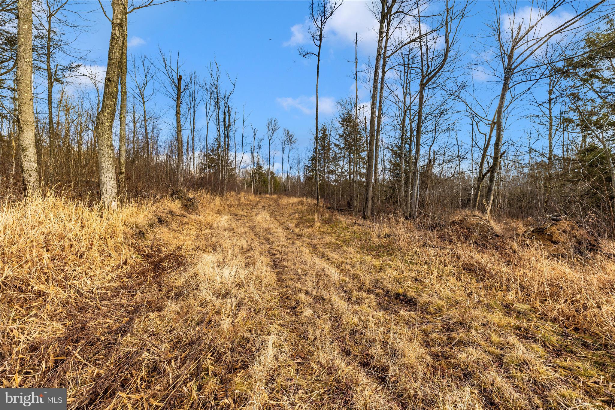 0 Mountain Road Lilly, PA 15938 - Photo 25 of 34 a view of a yard with trees