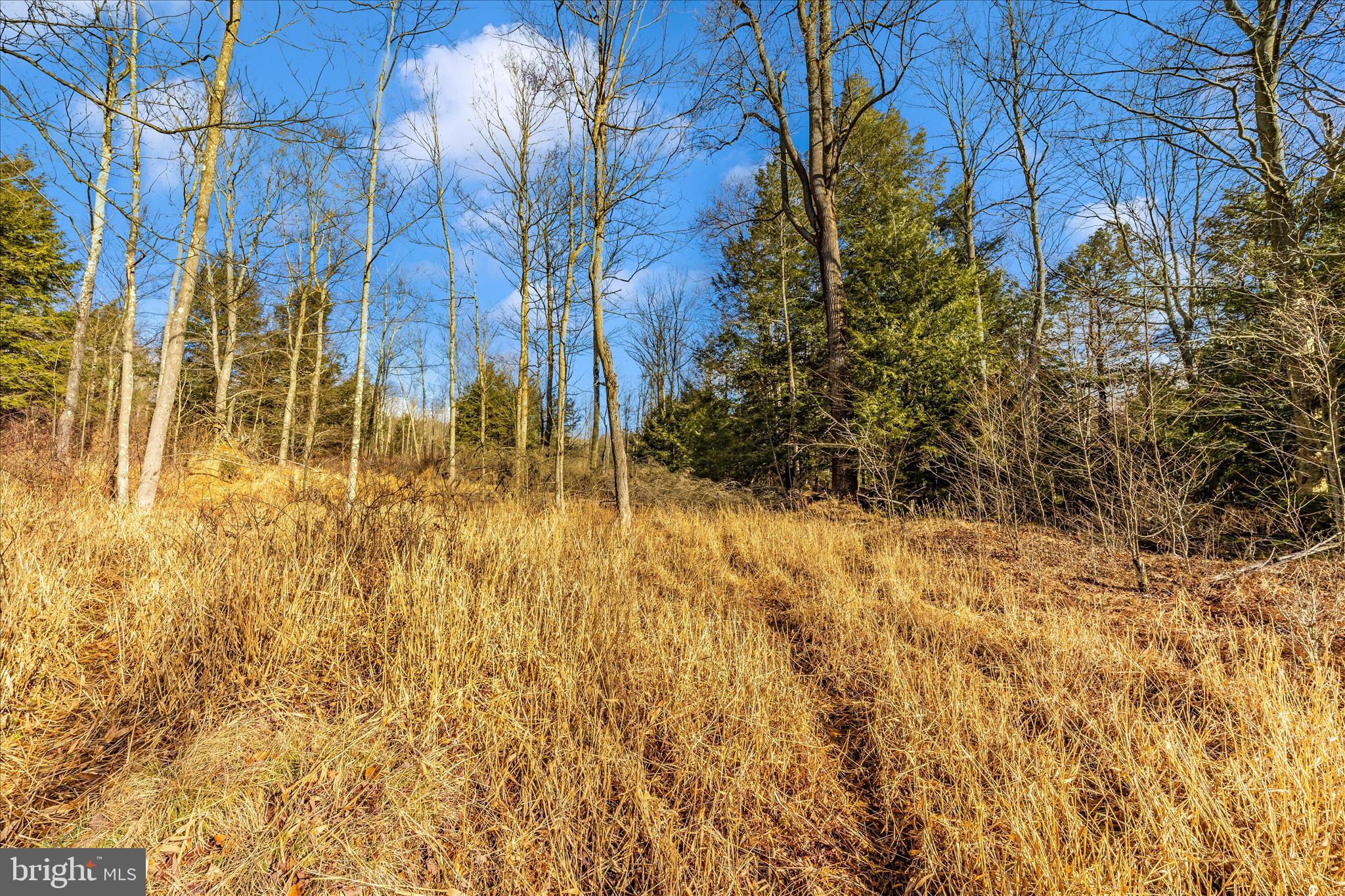 0 Mountain Road Lilly, PA 15938 - Photo 26 of 34 a view of back yard of the house