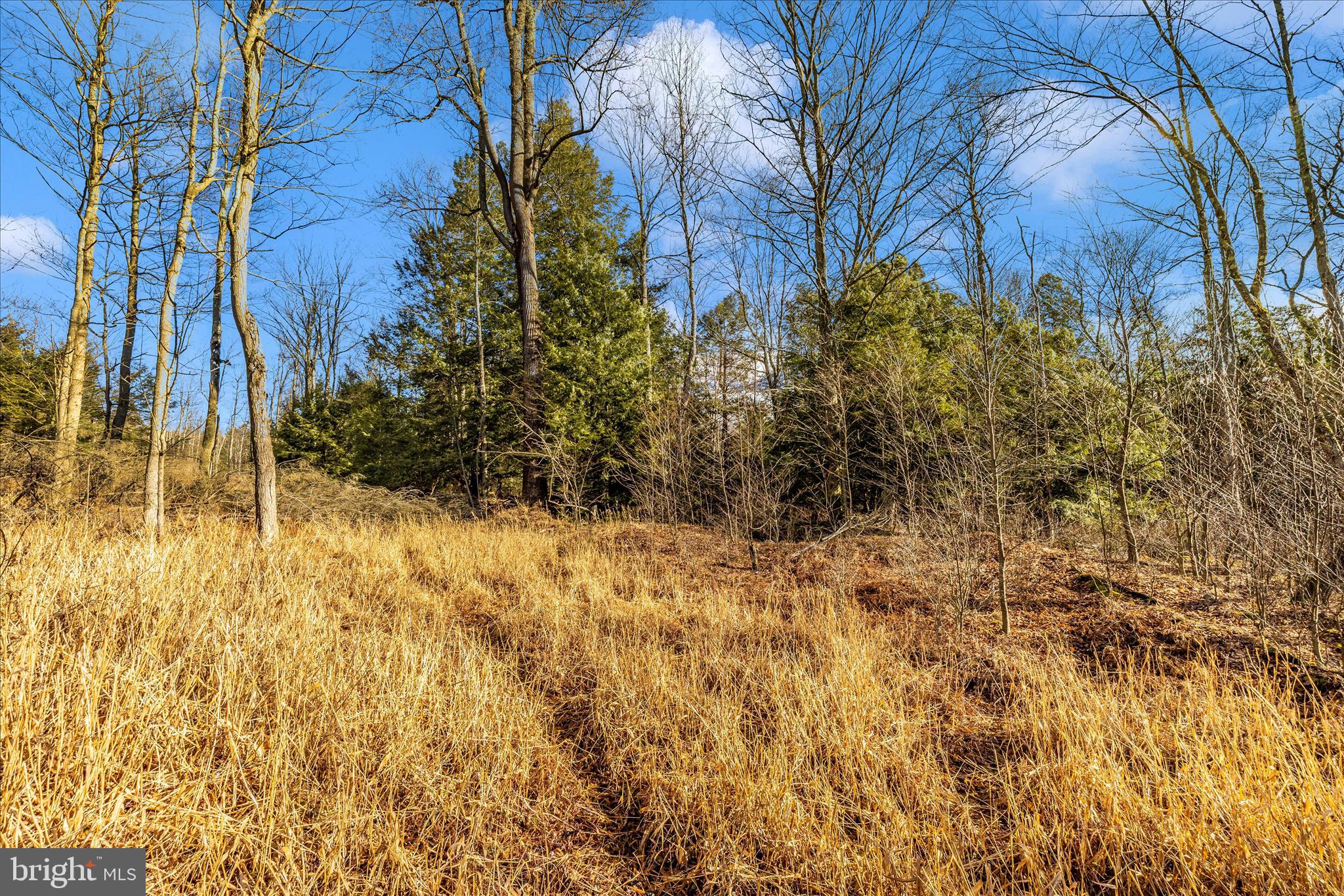 0 Mountain Road Lilly, PA 15938 - Photo 27 of 34