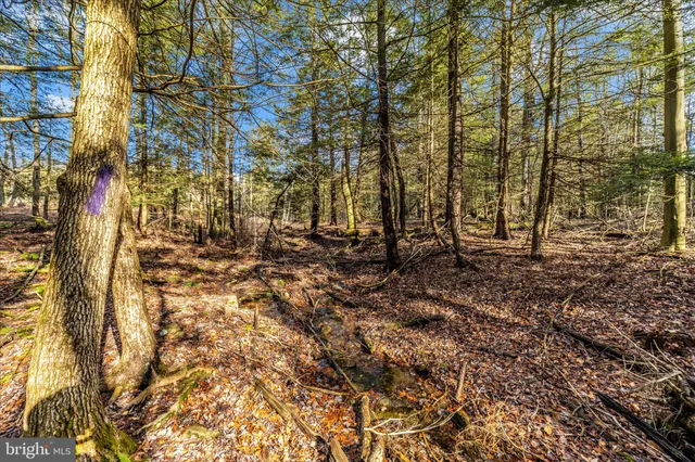 $170,000 | 0 Mountain Road, Lilly, PA 15938