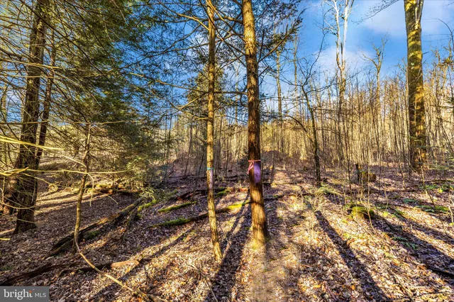 $170,000 | 0 Mountain Road, Lilly, PA 15938