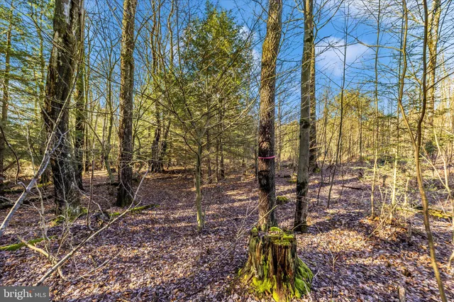 a view of a yard with wooden fence