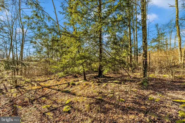 $170,000 | 0 Mountain Road, Lilly, PA 15938