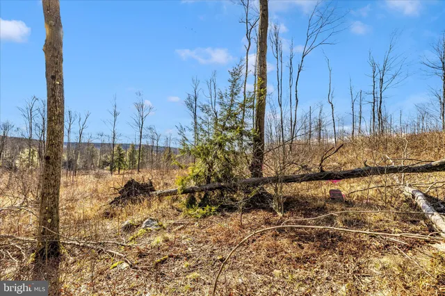 $170,000 | 0 Mountain Road, Lilly, PA 15938