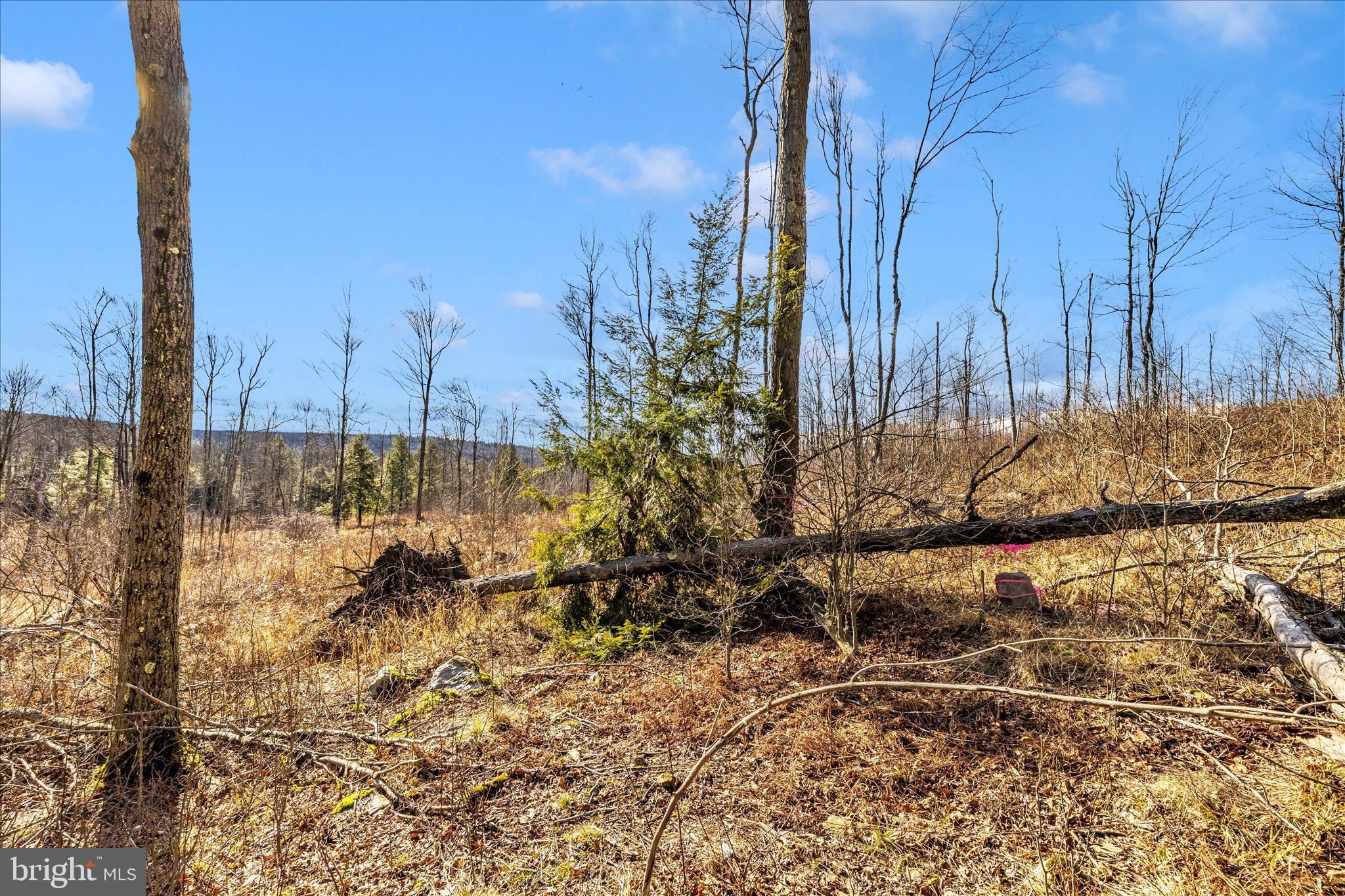 0 Mountain Road Lilly, PA 15938 - Photo 33 of 34 a view of a yard with wooden fence