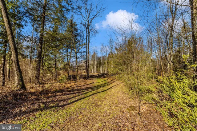 $170,000 | 0 Mountain Road, Lilly, PA 15938