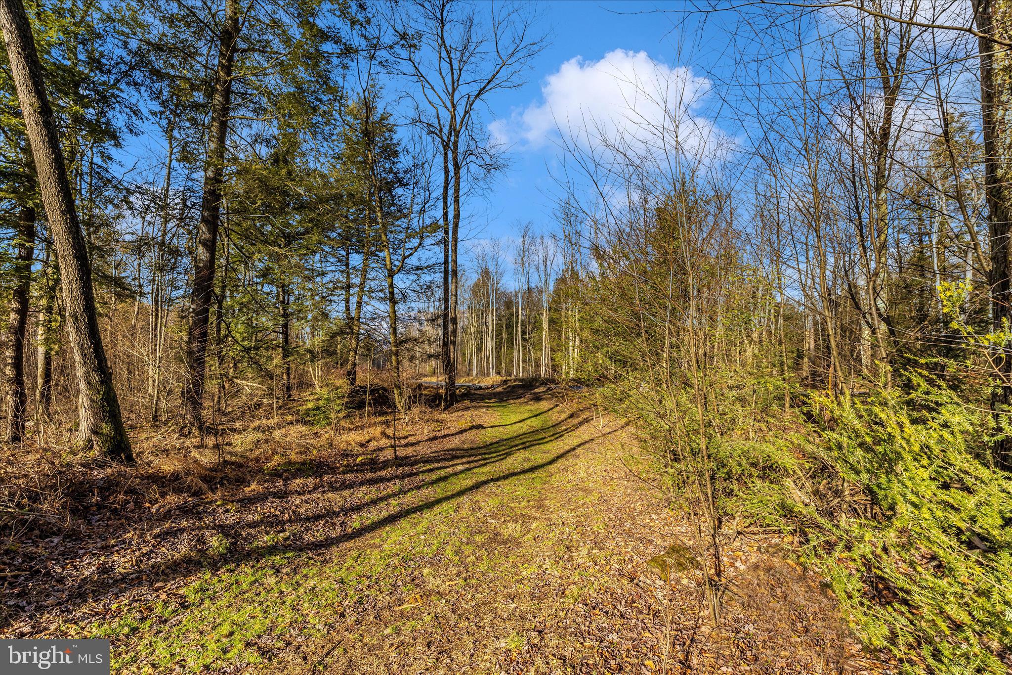 0 Mountain Road Lilly, PA 15938 - Photo 34 of 34 a view of a yard with wooden fence