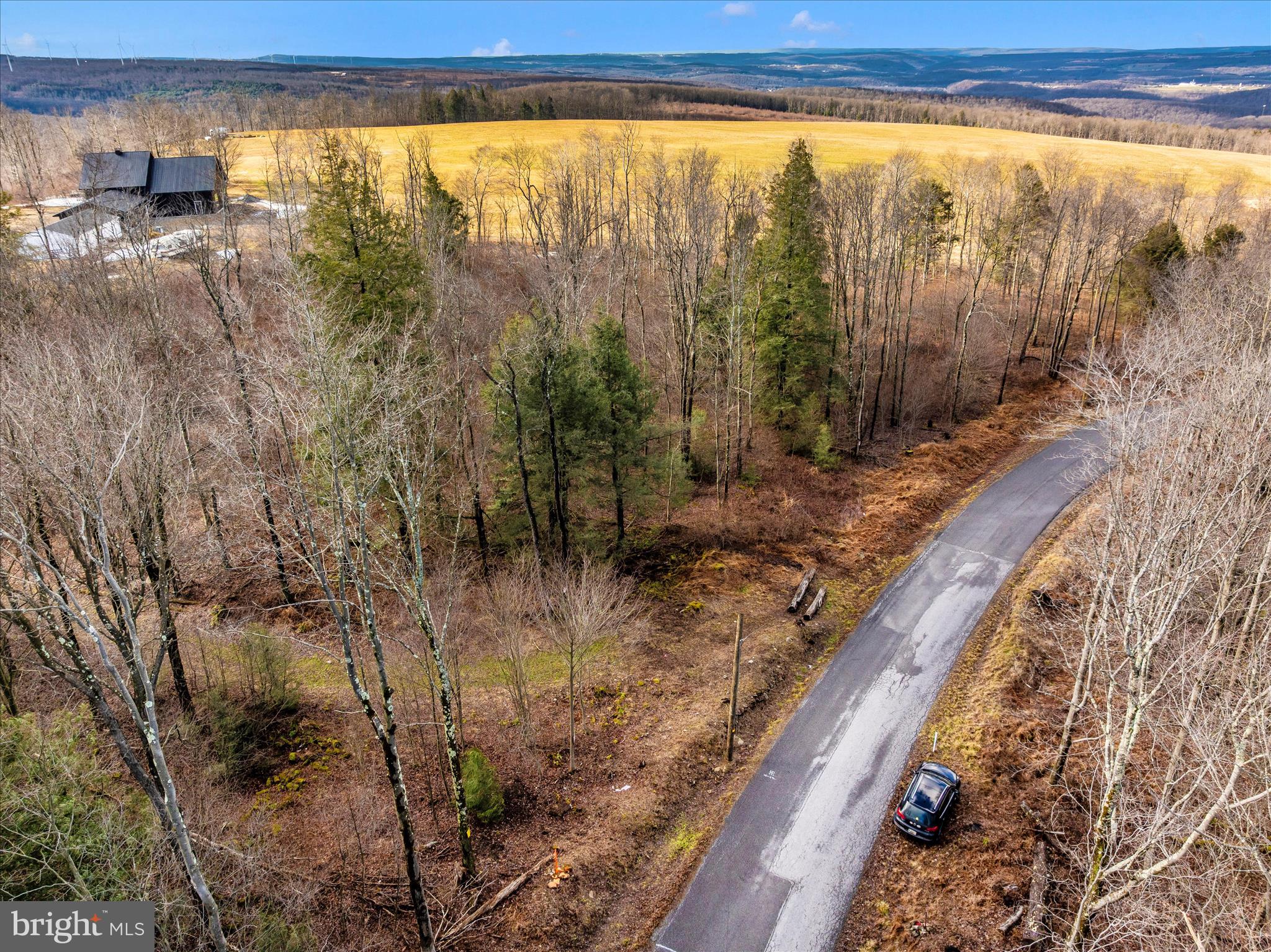 0 Mountain Road Lilly, PA 15938 - Photo 7 of 34 a view of a forest