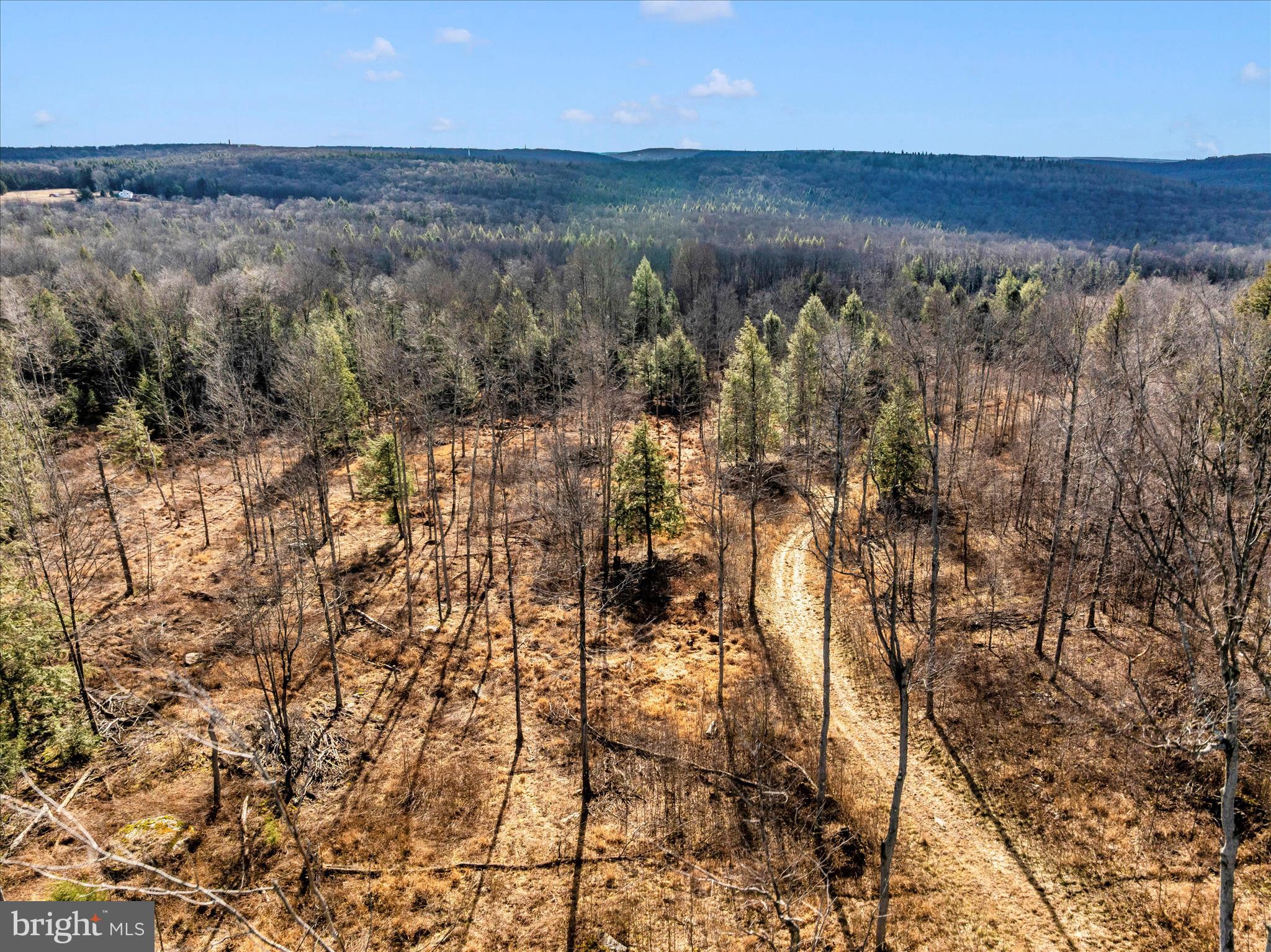 0 Mountain Road Lilly, PA 15938 - Photo 10 of 34 a view of a lake