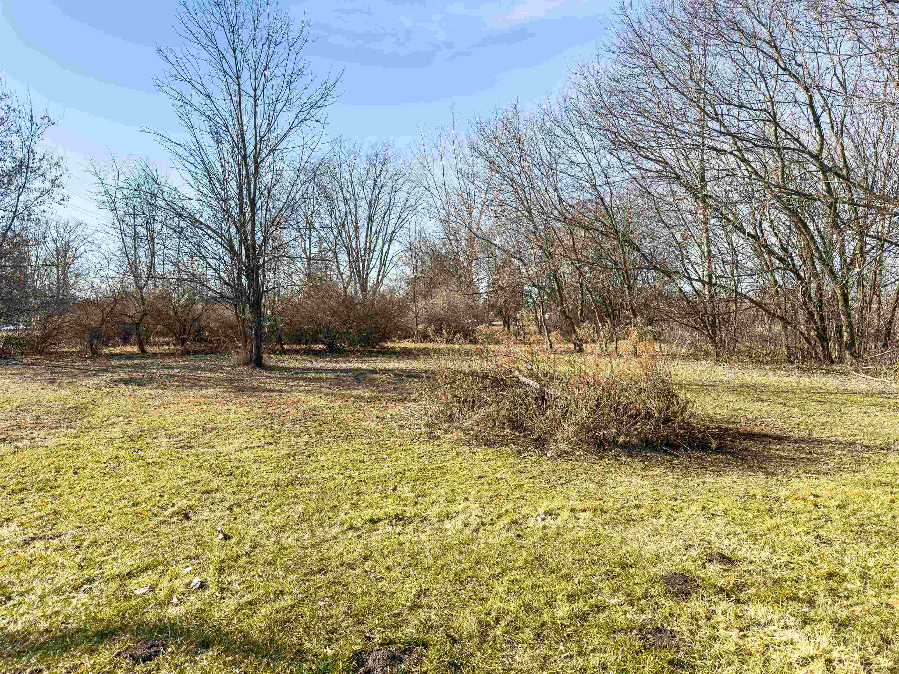 5612 East Remus Road Mount Pleasant, MI 48858 - Photo 34 of 54
