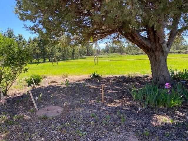 62649 Erickson Road Bend, OR 97701 - Photo 10 of 33 EricksonRoad12