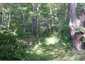 163 Stewart Road Berlin, VT 05602 - Photo 11 of 12 Gallery Image 11