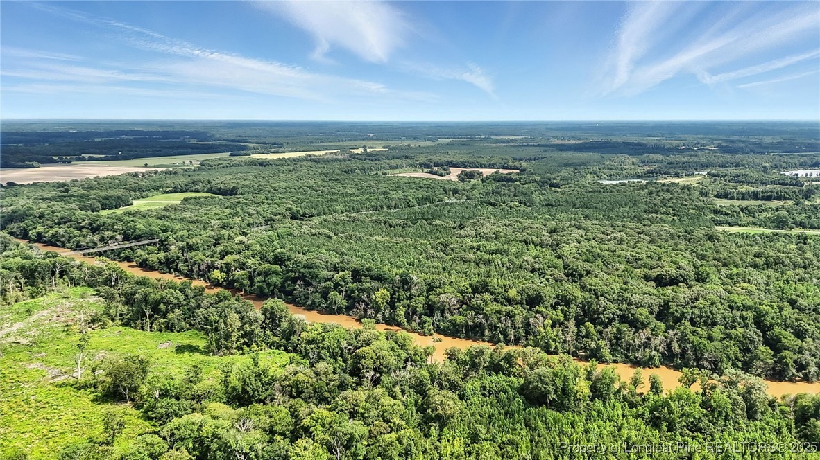 5725 River Road Wade, NC 28395 - Photo 13 of 35 a view of a green field